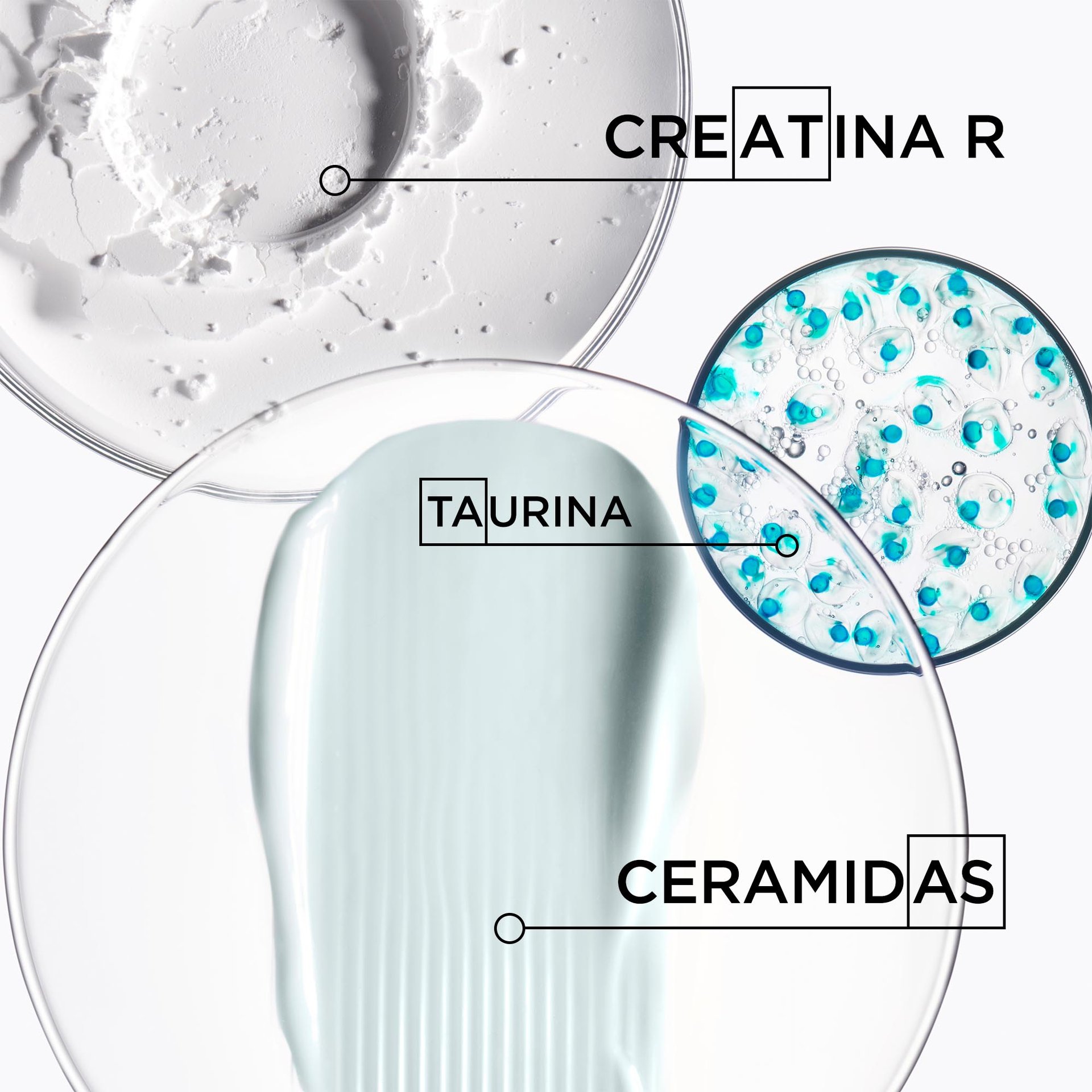 ingredientes dos produtos resistance creatina taurina ceramidas